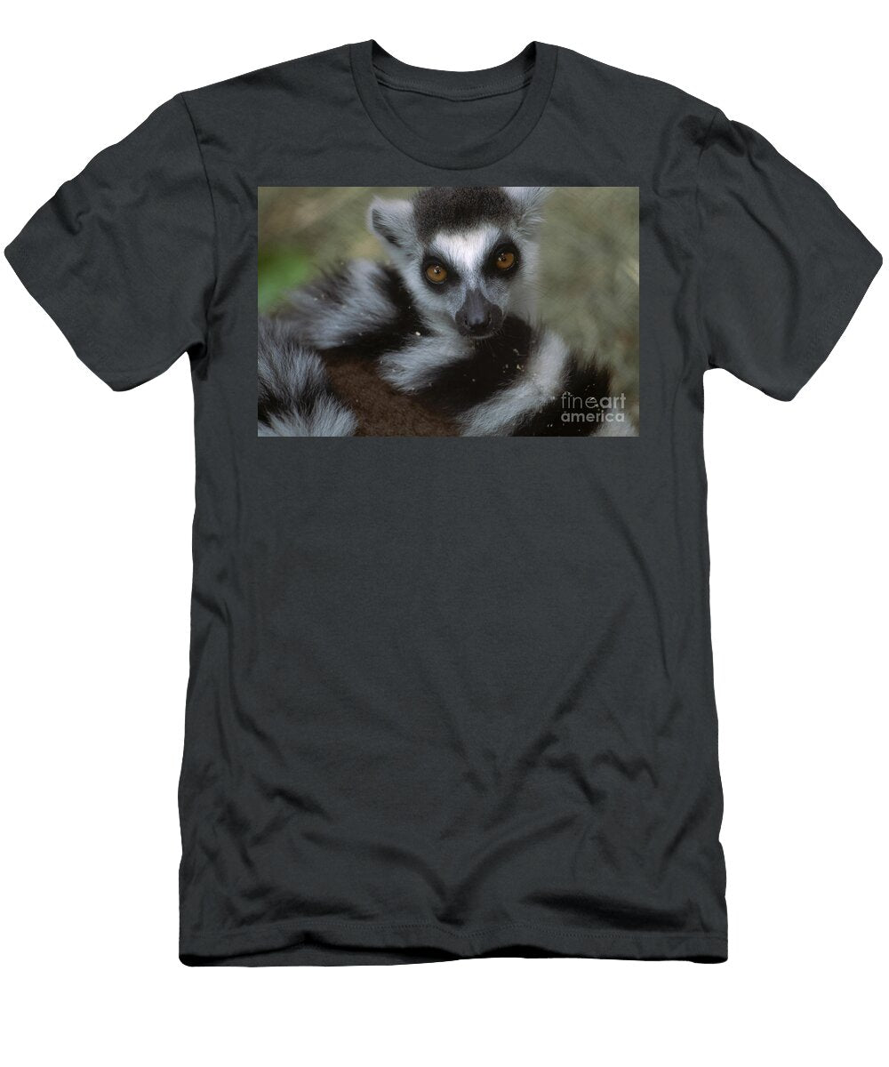 1 Ring Tailed Lemur Art Wolfe T-Shirt