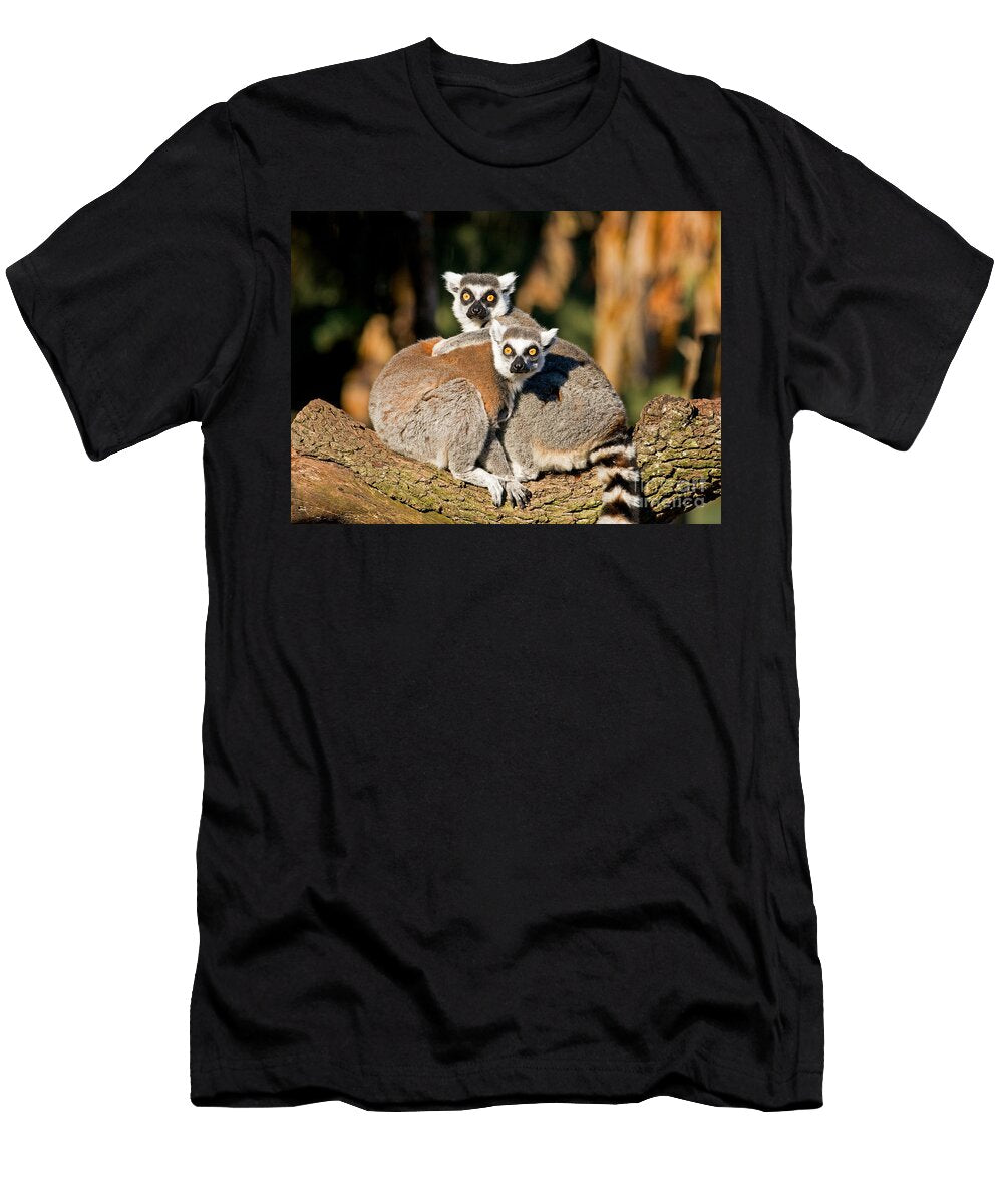 1 Ring Tailed Lemur Millard H Sharp T-Shirt