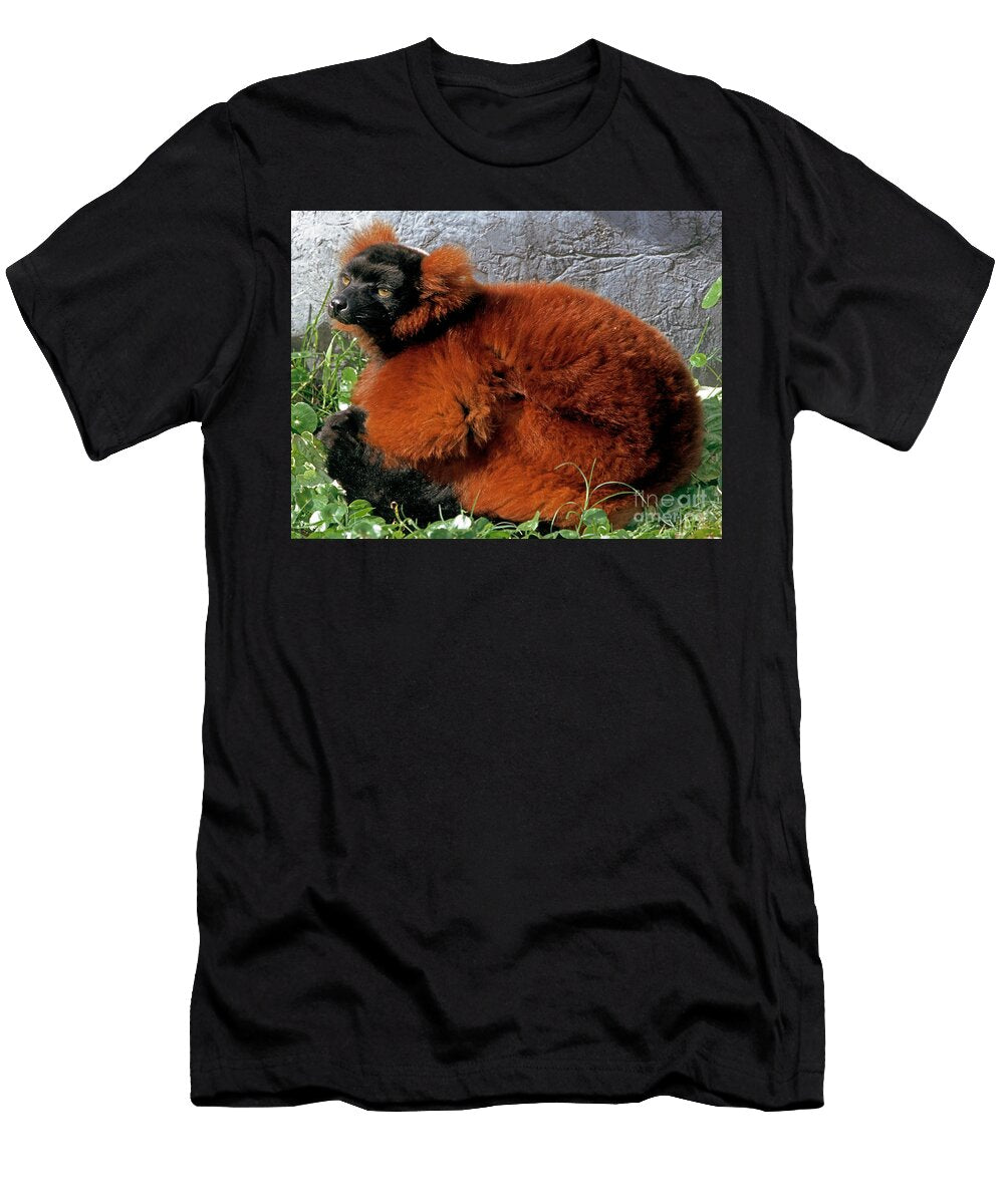 2 Red Ruffed Lemur Millard H Sharp T-Shirt