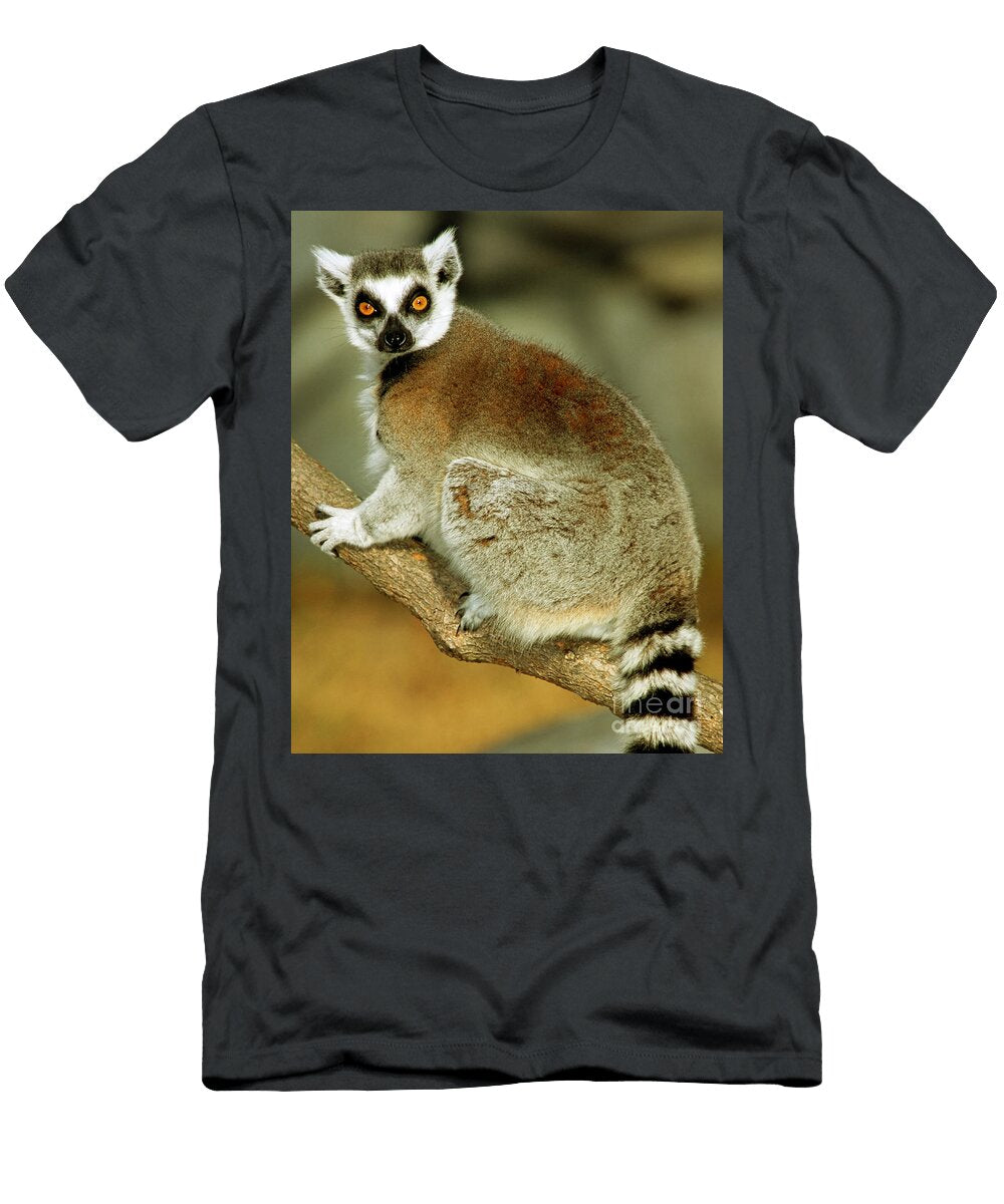 4 Ring Tailed Lemur Millard H Sharp T-Shirt