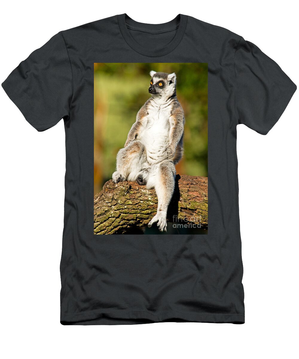 5 Ring Tailed Lemur Millard H Sharp T-Shirt