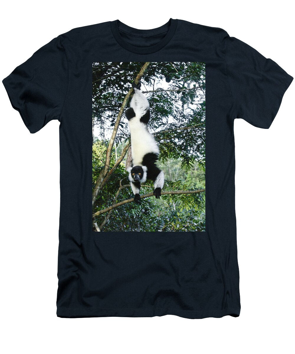 Acrobatic Lemur Michele Burgess T-Shirt
