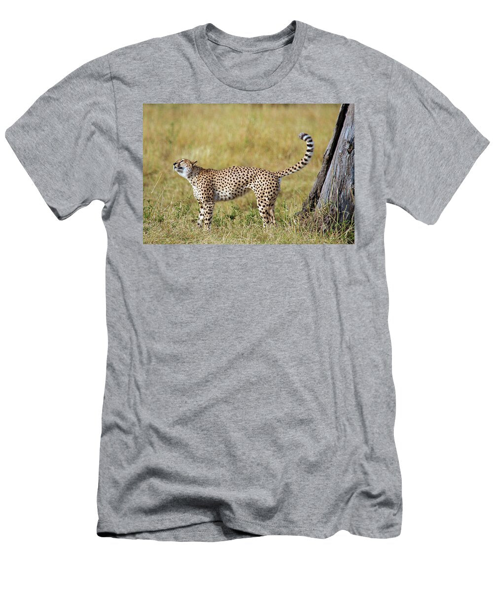 Cheetah Acinonyx Jubatus Urine Marking Animal Images T-Shirt
