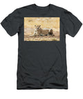 Cheetah in Afternoon Sunlight Jane Rix T-Shirt