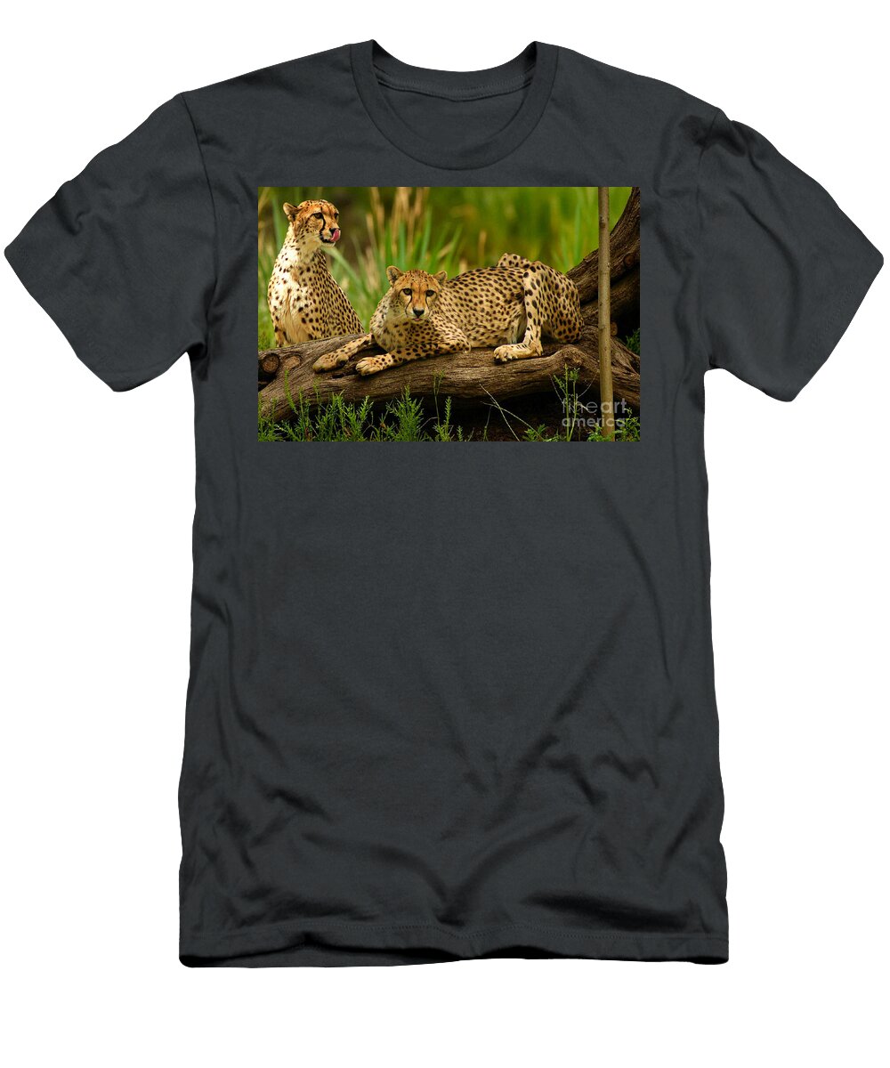 Cheetahs 2 Stacey Brooks T-Shirt
