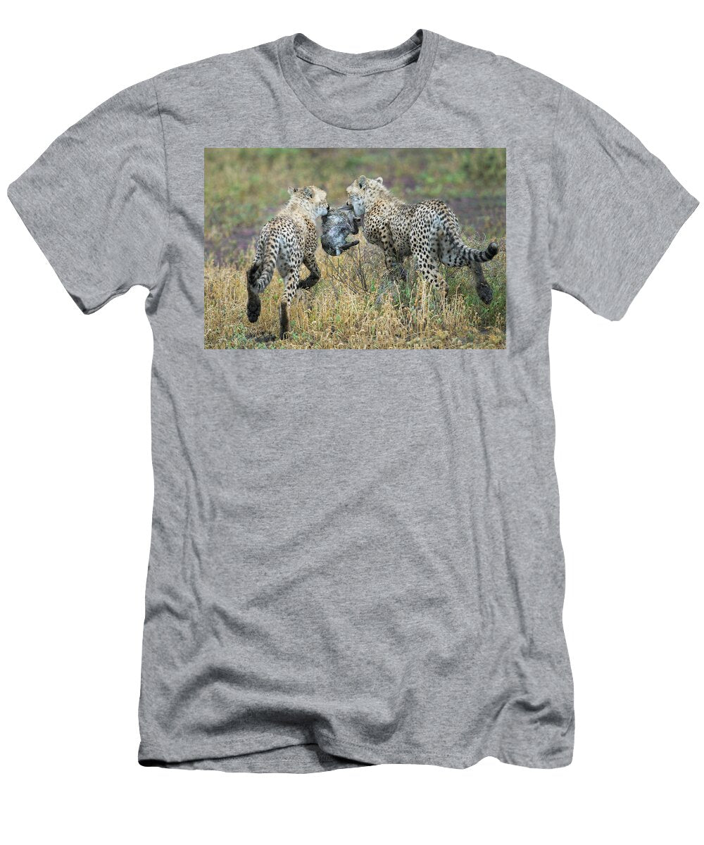 Cheetahs Acinonyx Jubatus Hunting Animal Images T-Shirt