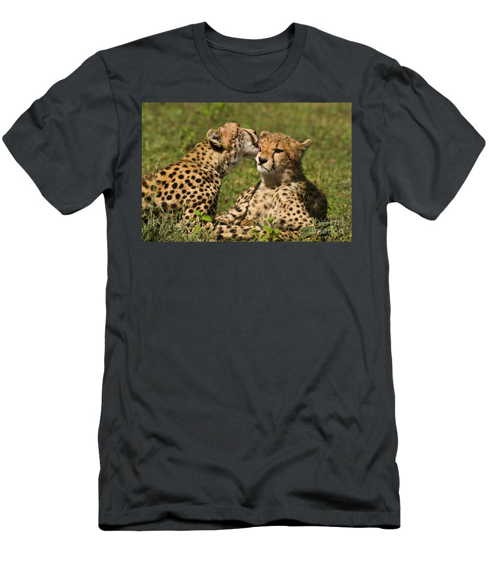Cheetahs Grooming Daryl Sharna Balfour T-Shirt