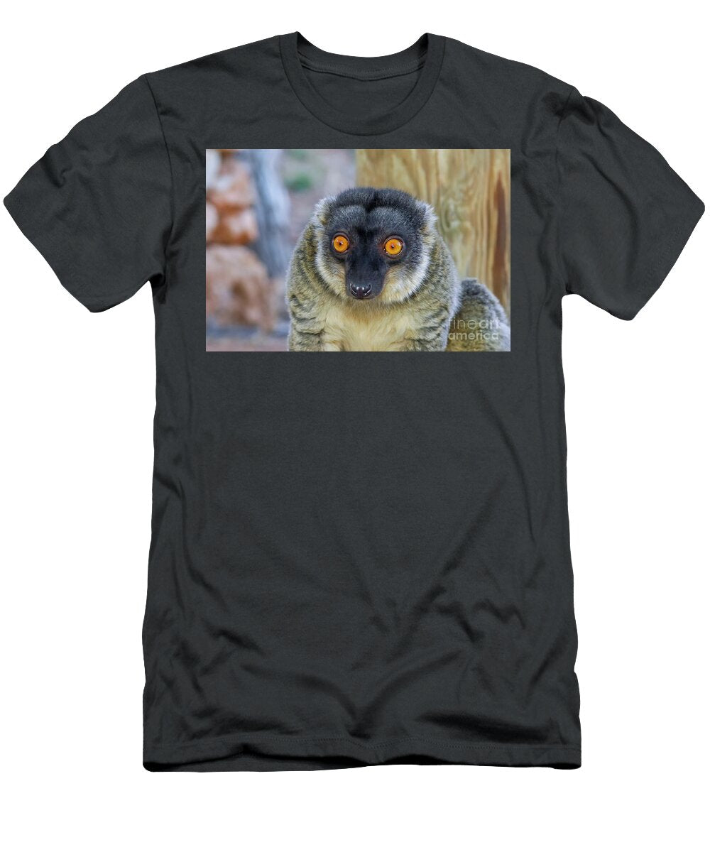 Common Brown Lemur Eulemur Fulvus E3 Shay Levy T-Shirt