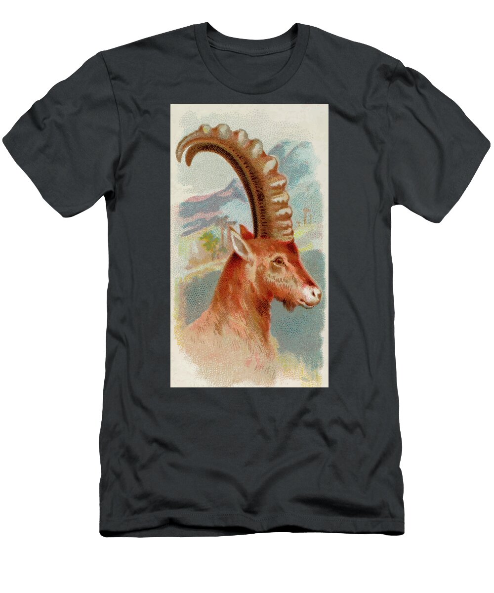 Ibex Vintage Animal Illustration Picked and Shared T-Shirt