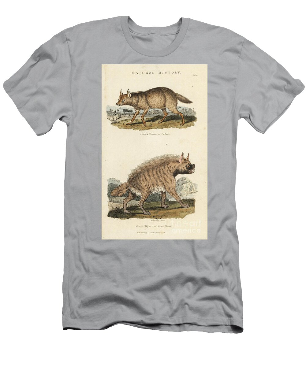 Jackal Dore and Hyene Golden Jackal Canis Aureus and Striped Hyena Hyaena Hyaena Sydenham Teast Edwards T-Shirt