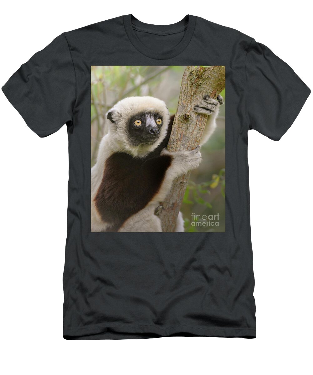 Lemur Clinging to Tree Lukas Giannoni T-Shirt