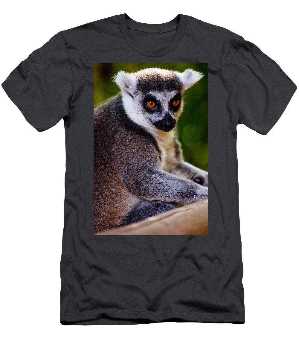 Lemur Closeup Patrycja Polechonska T-Shirt