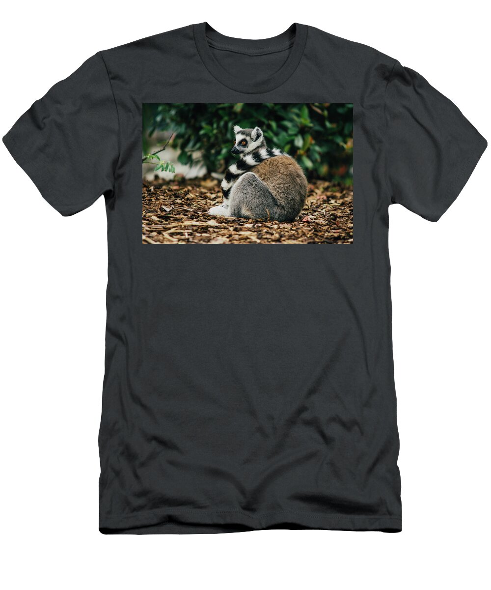 Lemur with Fancy Tail Scarf Pati Photography T-Shirt