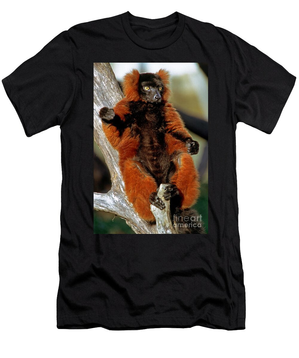 Red Ruffed Lemur Millard H Sharp T-Shirt