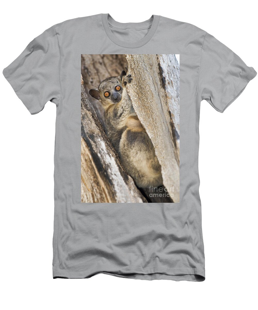Red Tailed Sportive Lemur Tony Camacho T-Shirt