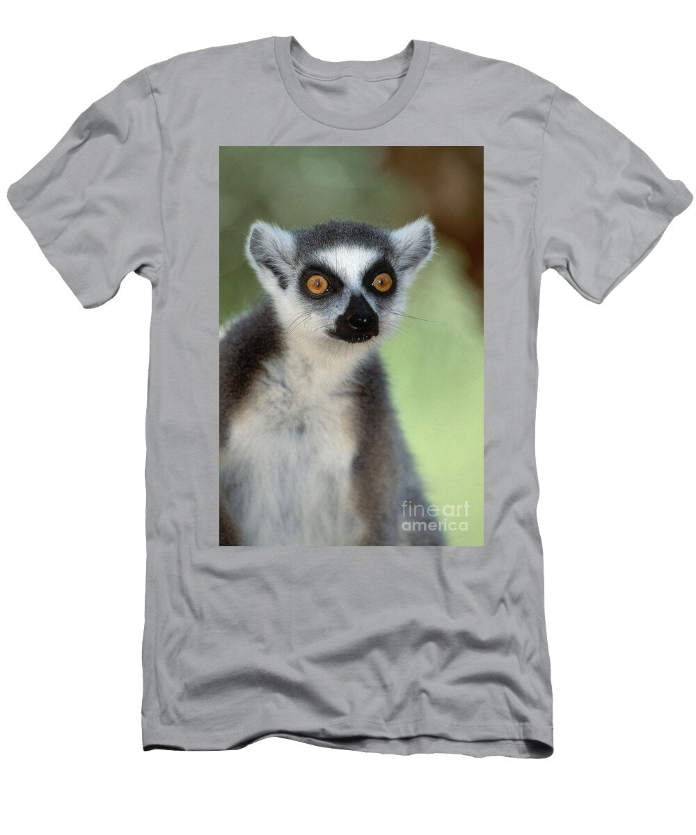 Ring Tailed Lemur Art Wolfe T-Shirt