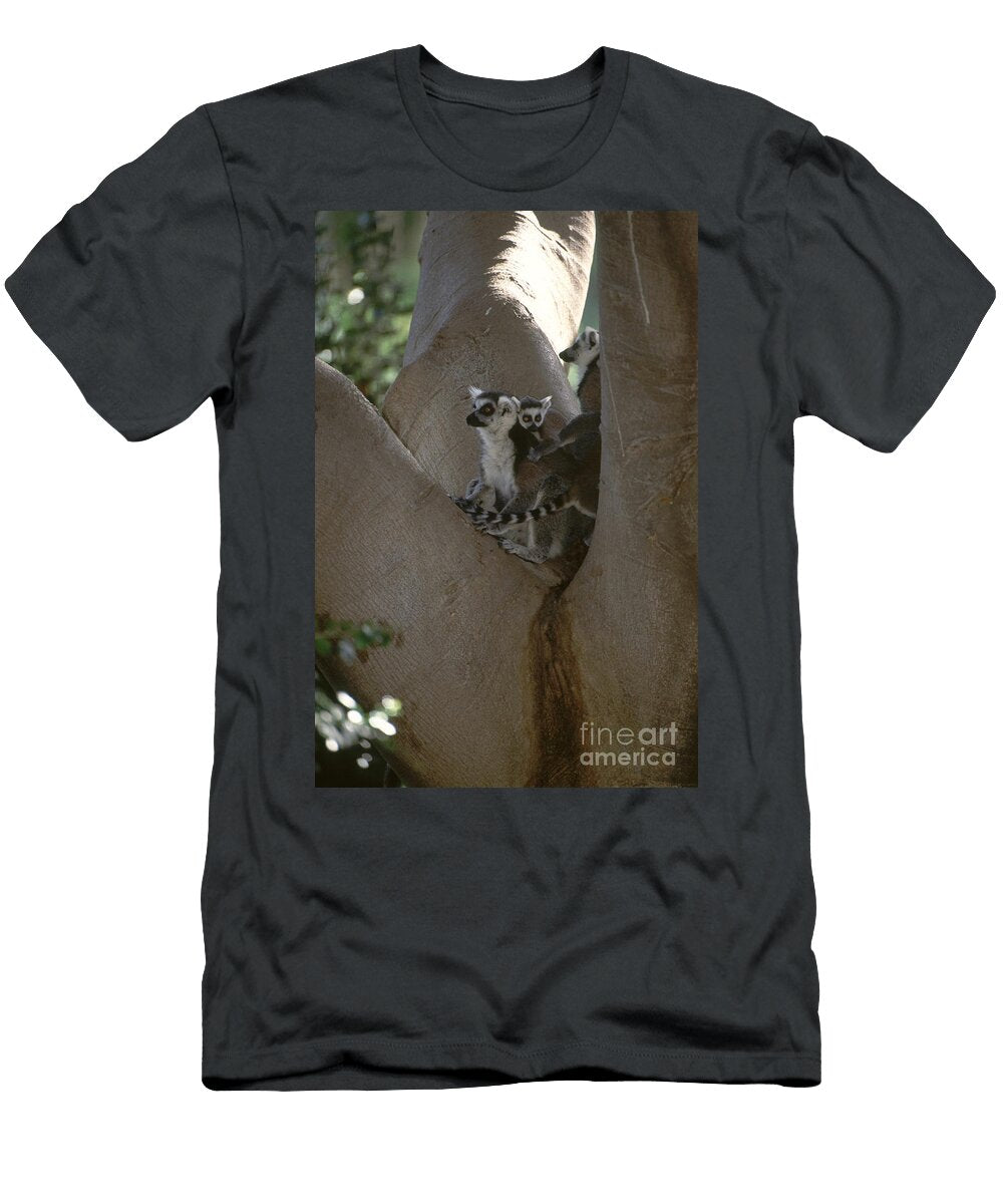 Ring Tailed Lemurs Art Wolfe T-Shirt