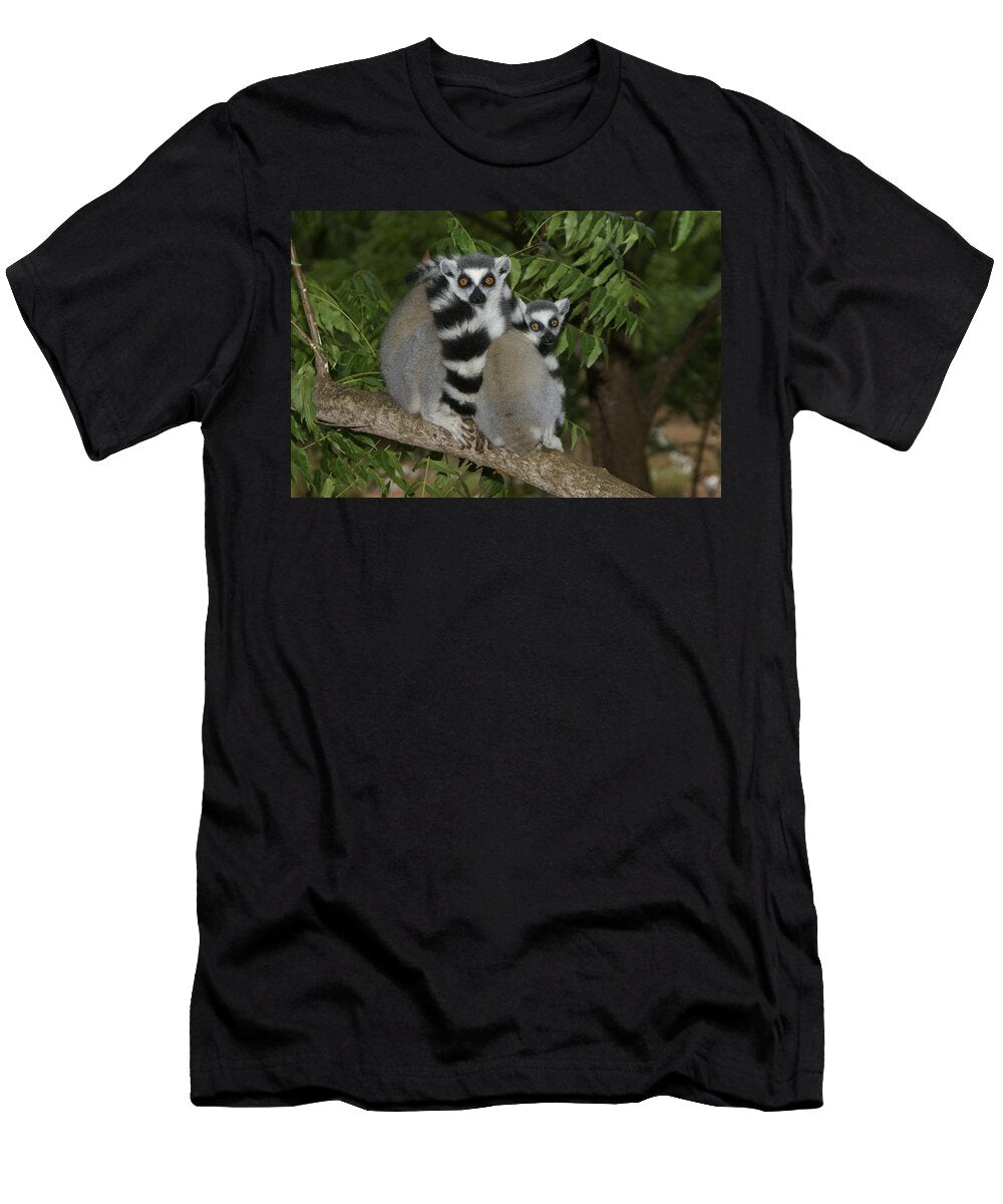 Ring Tailed Lemurs Michele Burgess T-Shirt
